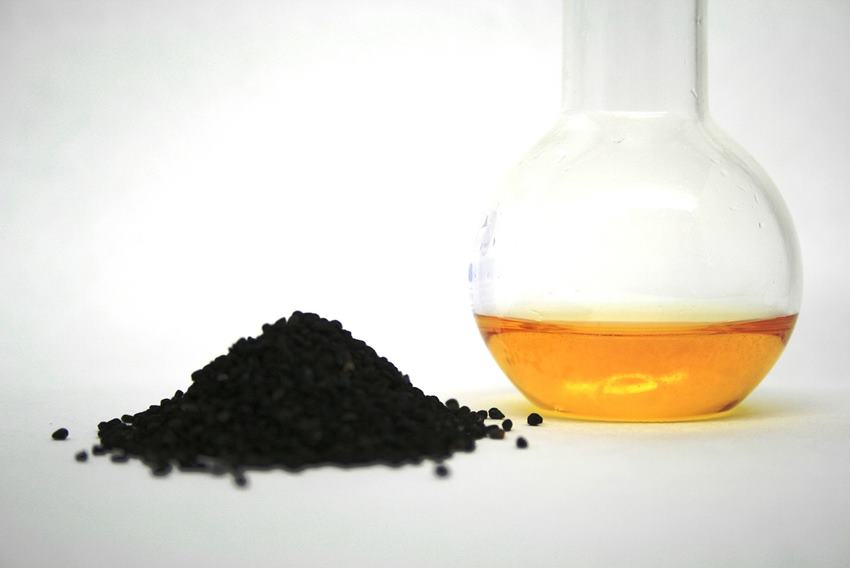 Целебные свойства масла черного тмина